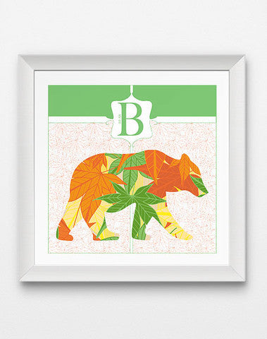 Colorful B is for Bear