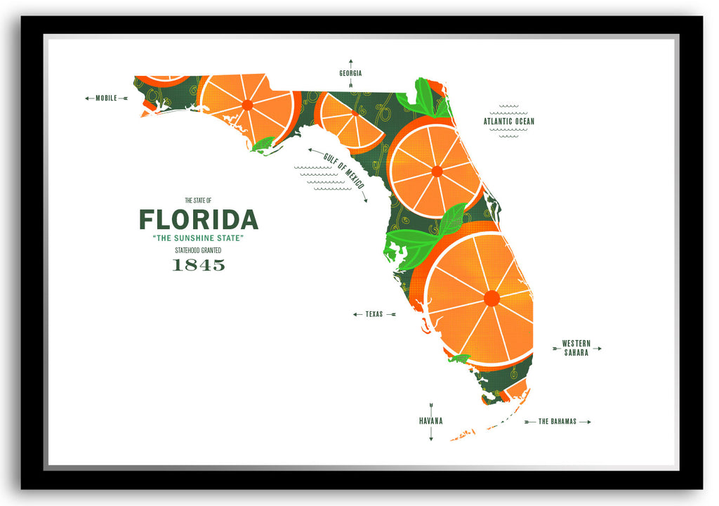 Colorful Florida Map Print Poster